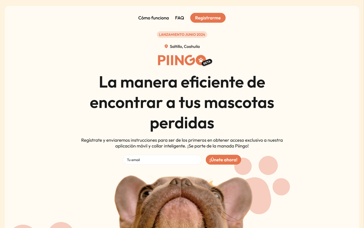 An image of the Piingo project.